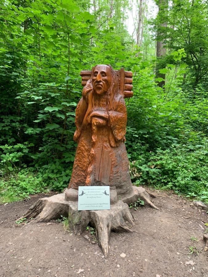 皮尔马森斯Stierpartment Am Pfaelzer Wald Naehe Outlet Center Zweibruecken公寓 外观 照片