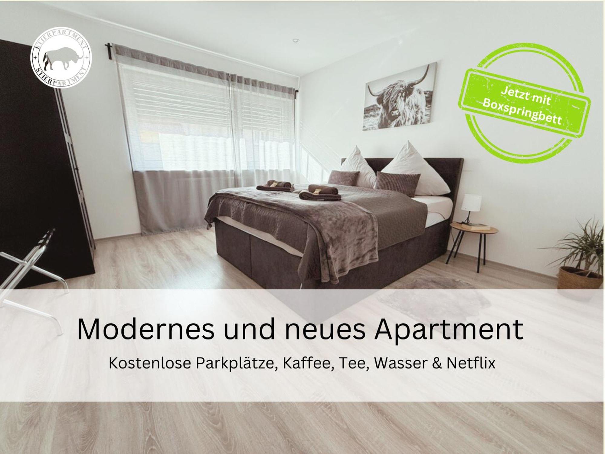 皮尔马森斯Stierpartment Am Pfaelzer Wald Naehe Outlet Center Zweibruecken公寓 外观 照片